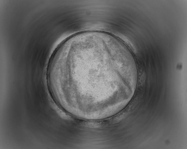 X0000102011086200808081718