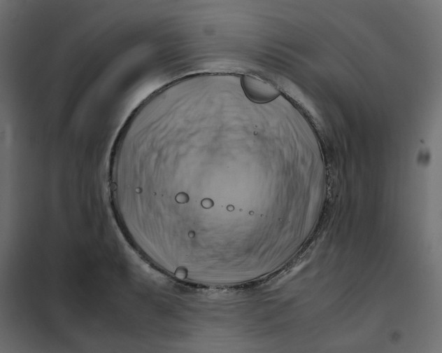 X0000102011087200808081718