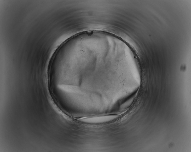 X0000102011088200808081718