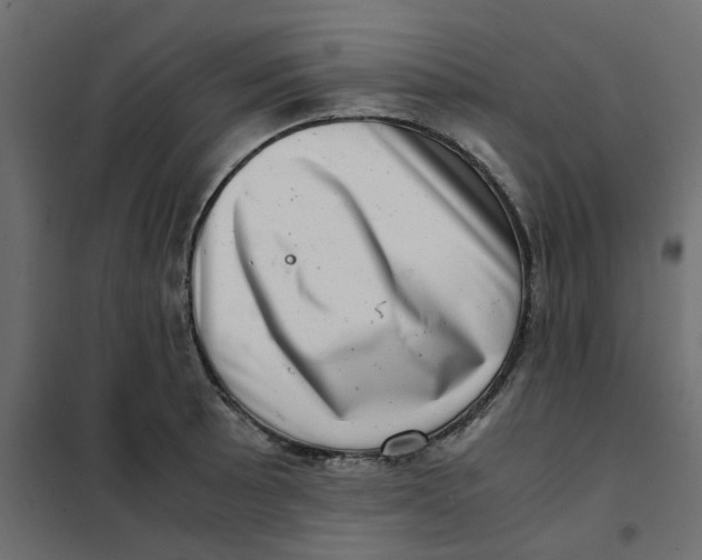 X0000102011089200808081718