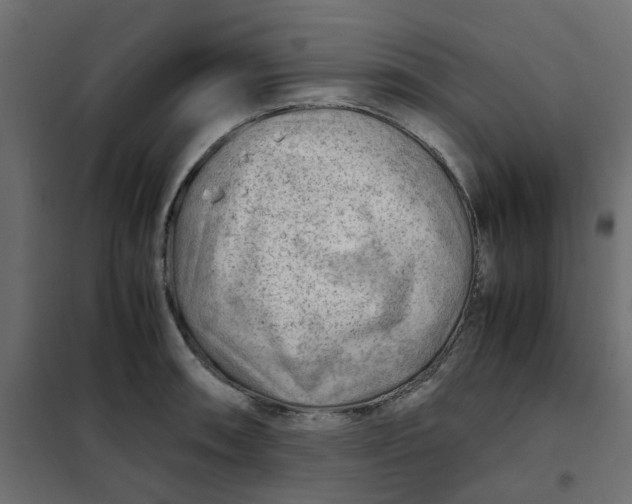 X0000102011090200808081718