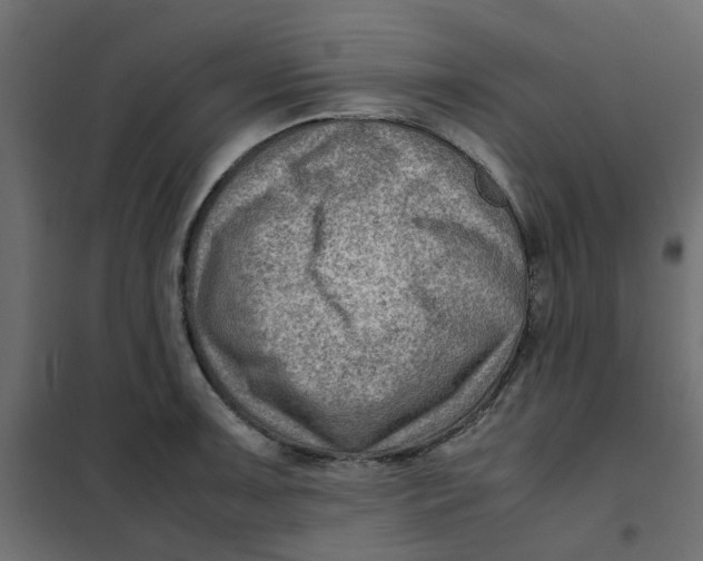 X0000102011091200808081718