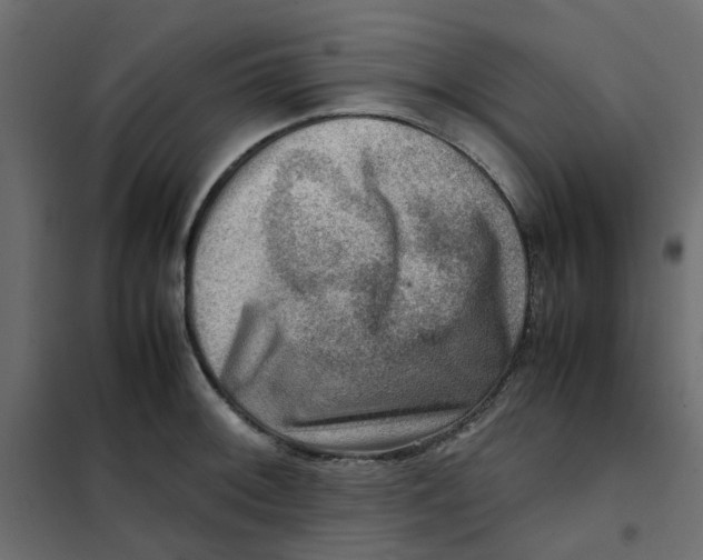 X0000102011092200808081718