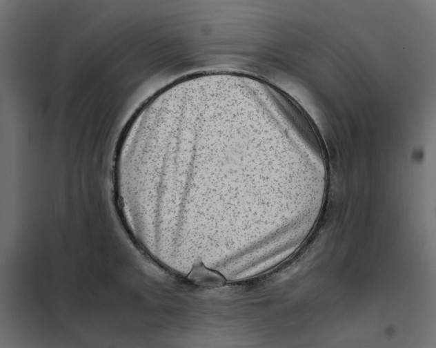 X0000102011093200808081718