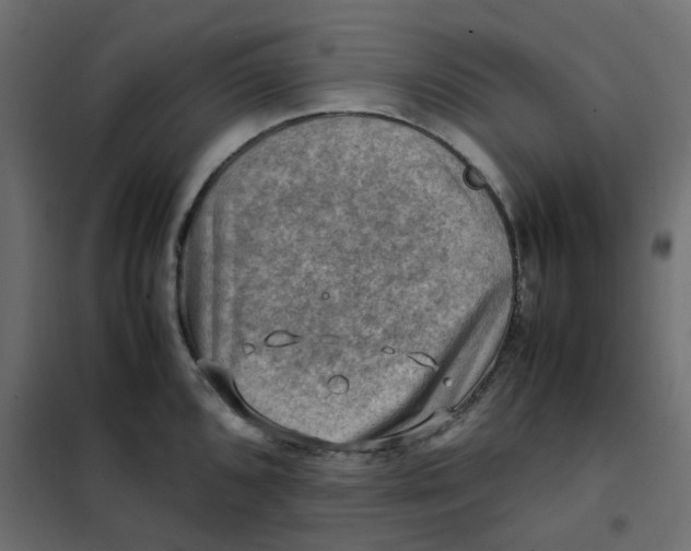 X0000102011096200808081718