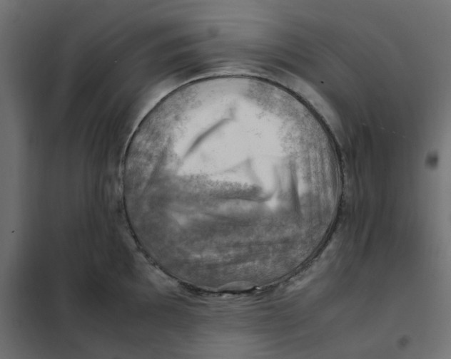 X0000102011097200808081718