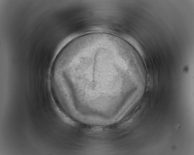 X0000102011098200808081718