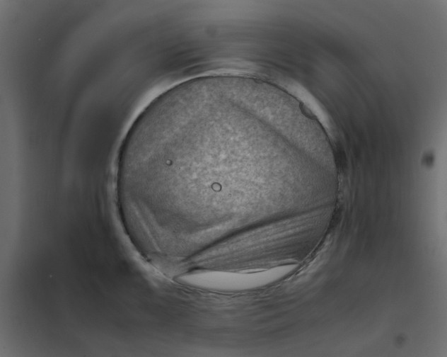 X0000102011099200808081718