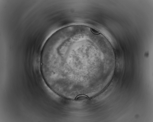 X0000102011100200808081718