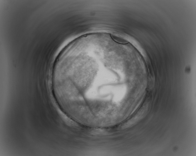 X0000102011101200808081718