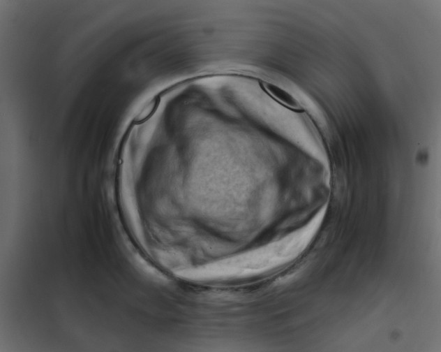 X0000102011102200808081718