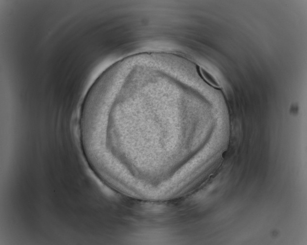 X0000102011103200808081718