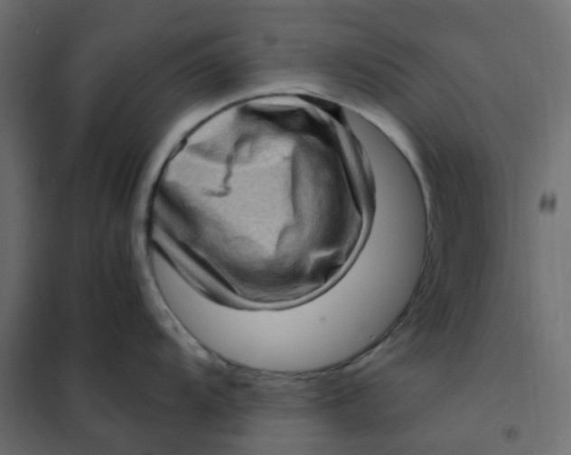 X0000102011104200808081718