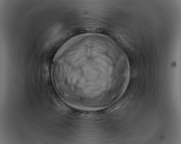 X0000102011106200808081717