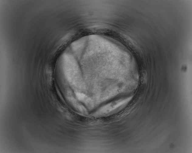 X0000102011108200808081718