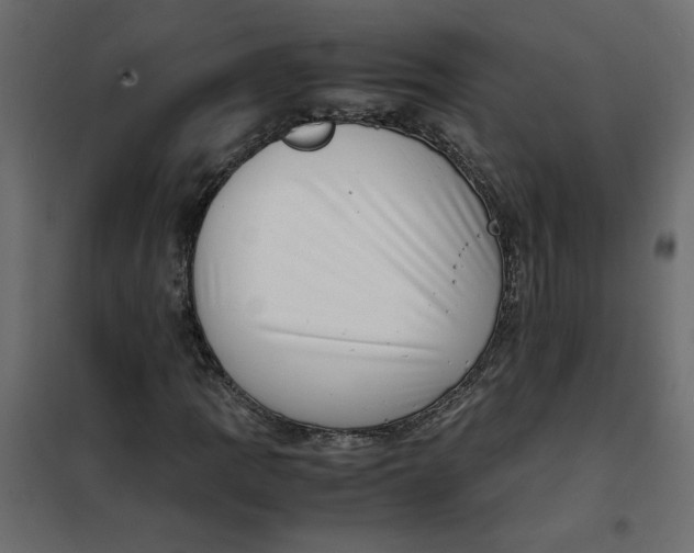 X0000102011109200808081718