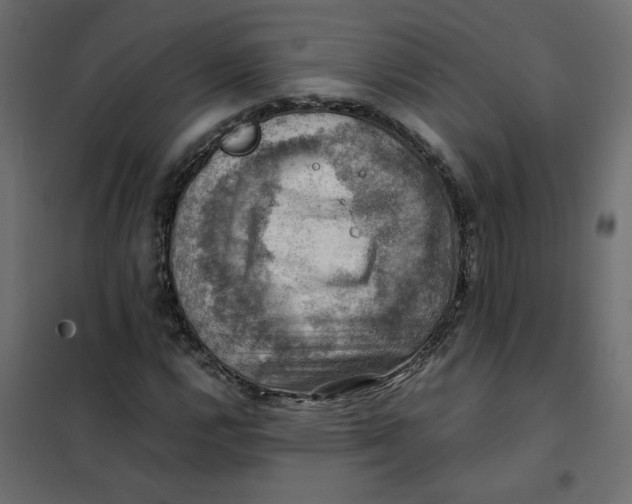 X0000102011112200808081718