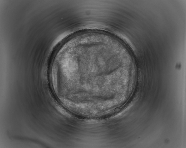 X0000102011114200808081718