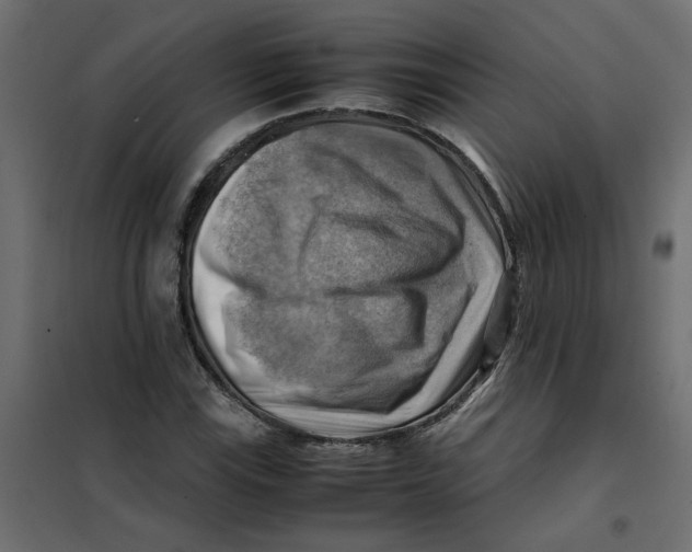 X0000102011115200808081718