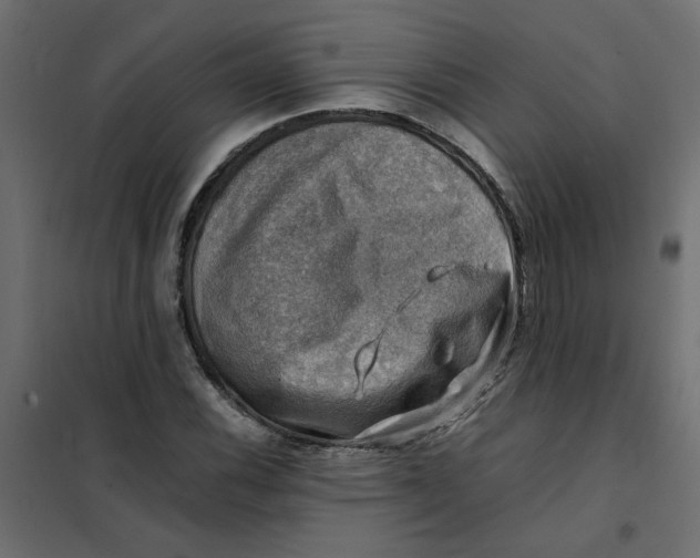 X0000102011116200808081718