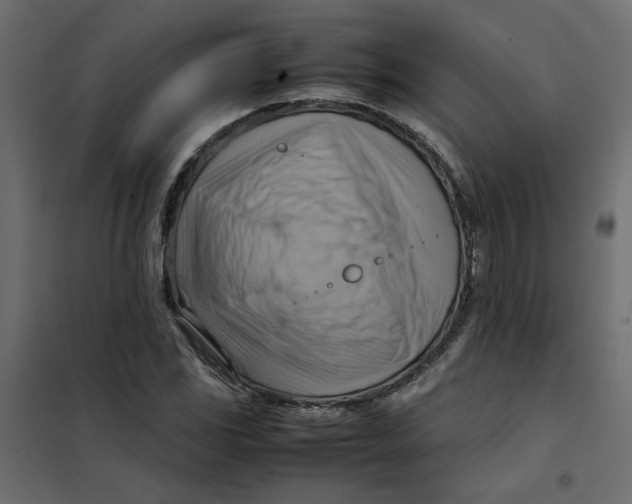 X0000102011117200808081718