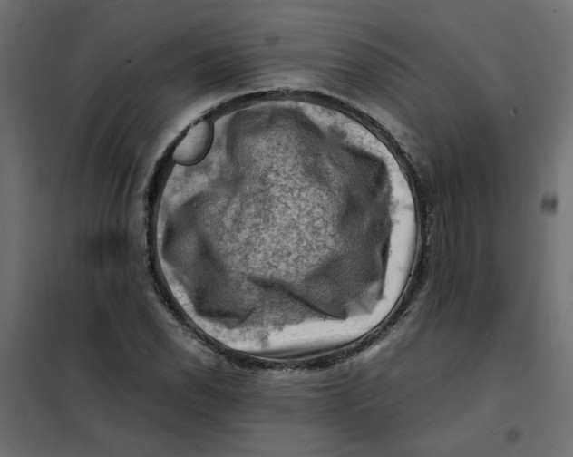 X0000102011118200808081718