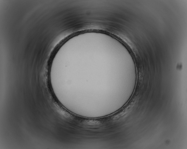 X0000102011119200808081718