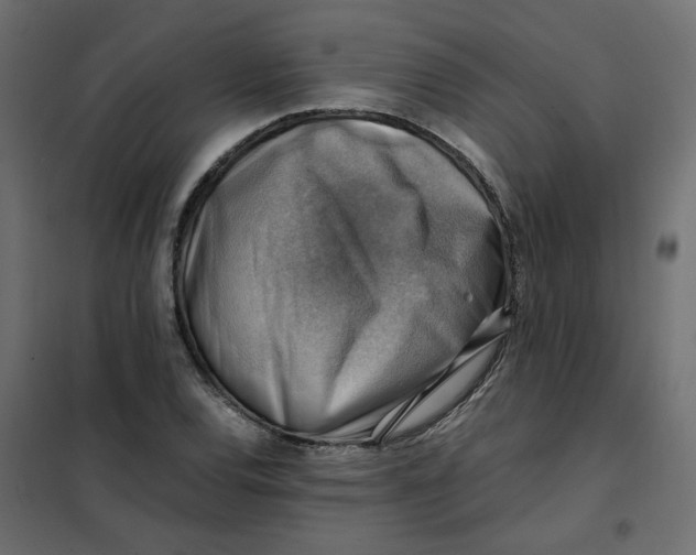 X0000102011120200808081718