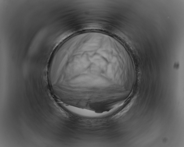 X0000102011121200808081718