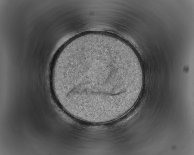 X0000102011122200808081718