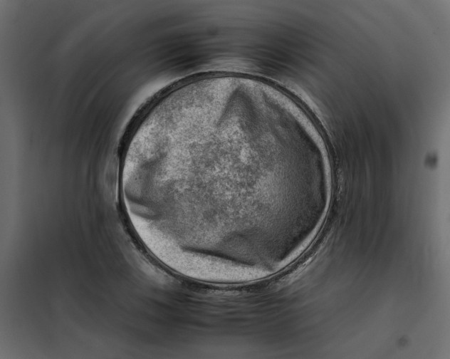 X0000102011123200808081718