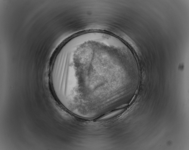 X0000102011124200808081718