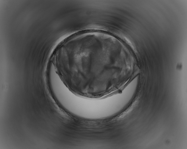 X0000102011125200808081718