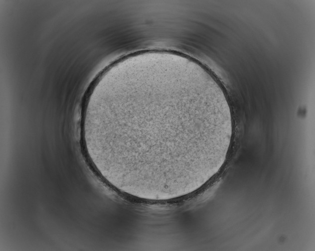 X0000102011126200808081718