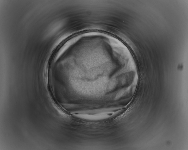 X0000102011127200808081718