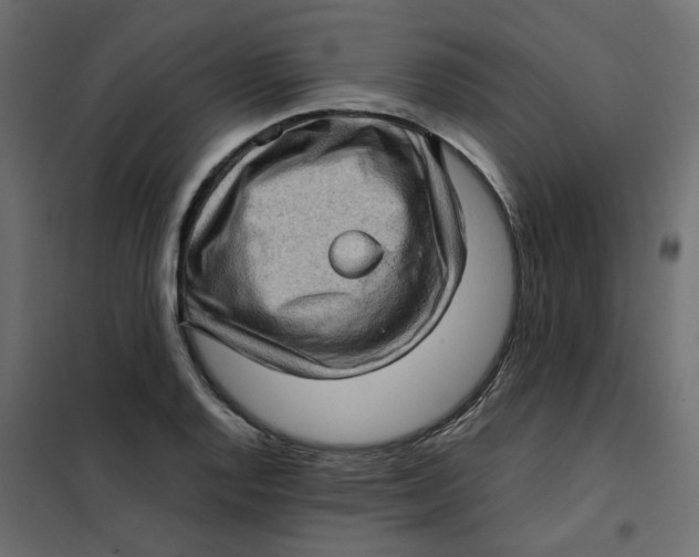 X0000102011128200808081718