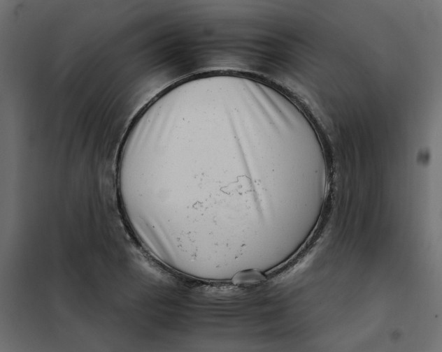 X0000102011129200808081718