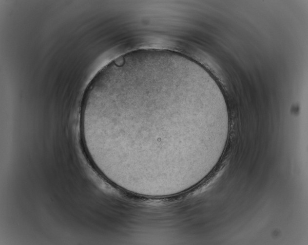 X0000102011130200808081718