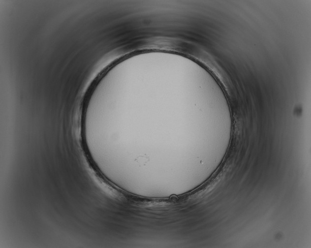 X0000102011131200808081718