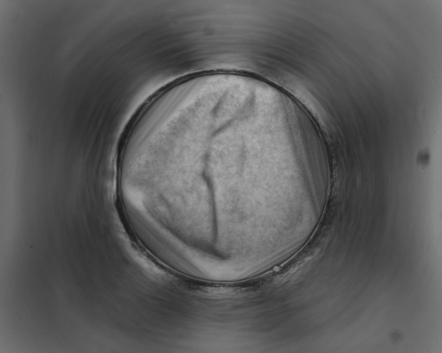 X0000102011132200808081718