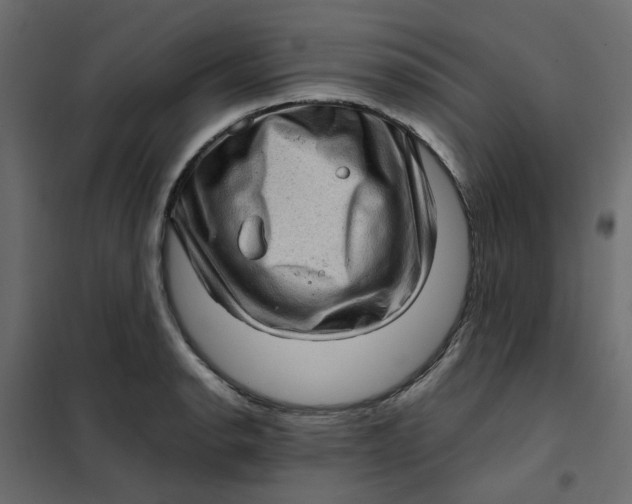 X0000102011134200808081718