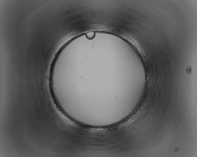 X0000102011135200808081718