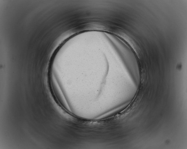 X0000102011139200808081718