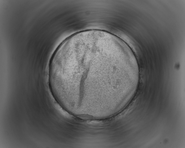 X0000102011140200808081718