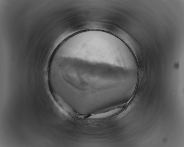 X0000102011141200808081718