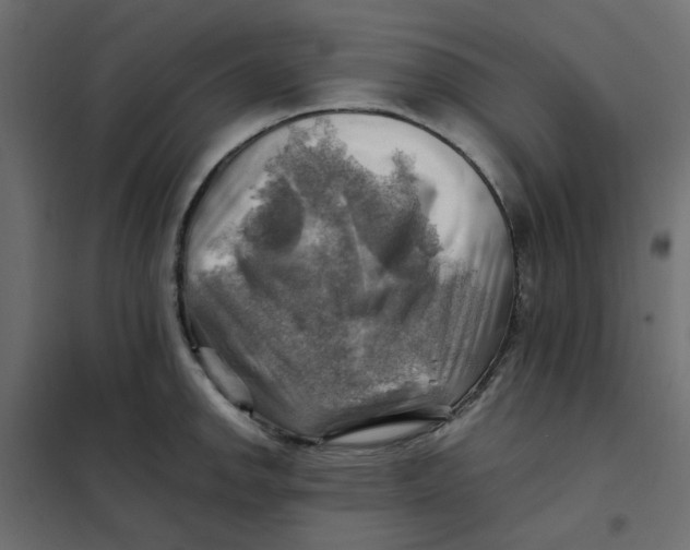 X0000102011142200808081718