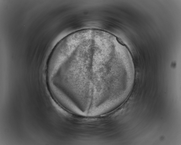 X0000102011143200808081718