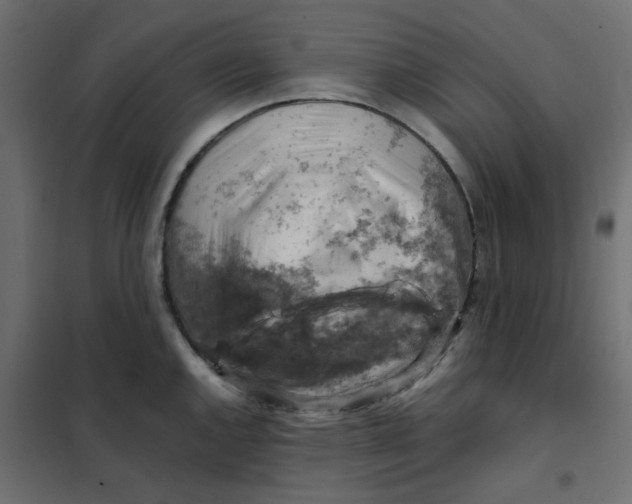 X0000102011144200808081718