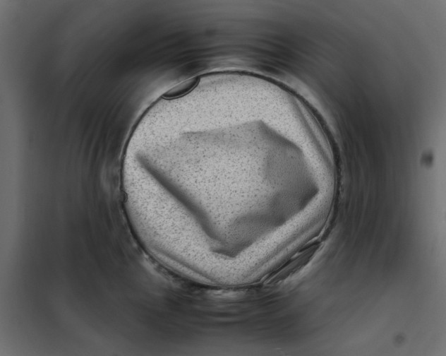 X0000102011145200808081718