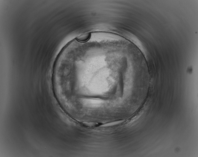 X0000102011146200808081718